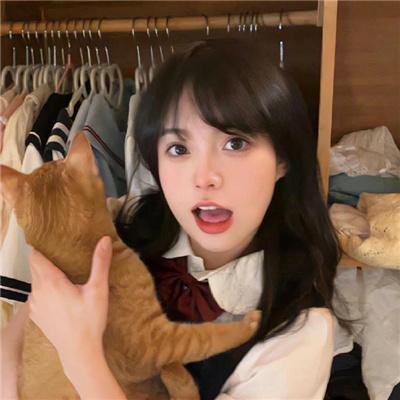 摇滚藏獒:乘风破浪 在线观看
